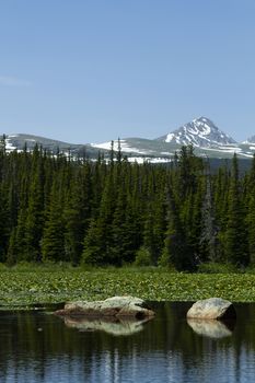 Tranquil, summer waters of Red Rock Lake, part of the Brainard Lake Recreation Area, seen with mountains of Indian Peak Wilderness, pine forest, and lily pads behind two boulders with reflections in vertical image. Copy space in blue sky region at top.  