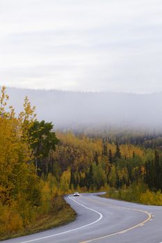 Car rounds curve on beautiful Highway 1, a scenic road dressed in golden fall colors and autumn mist. Vertical image with copy space in sky area.