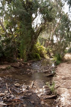 hiking in north galilee natural reserve in israel