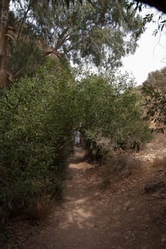 hiking in north galilee natural reserve in israel