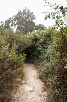 hiking in north galilee natural reserve in israel