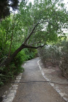 Old park in nothern Israel town of pioneers