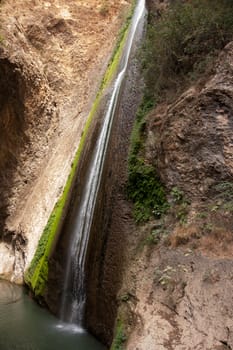 Rivers, stones and forest in Israel north natural reserve