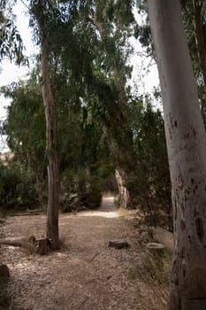 hiking in north galilee natural reserve in israel