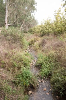 hiking in north galilee natural reserve in israel