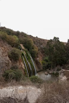 Rivers, stones and forest in Israel north natural reserve