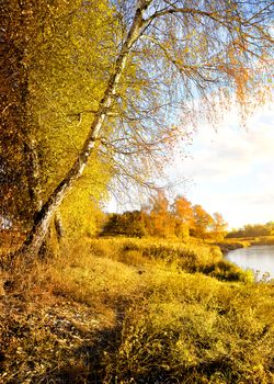 Vibrant autumn on the river at sunrise