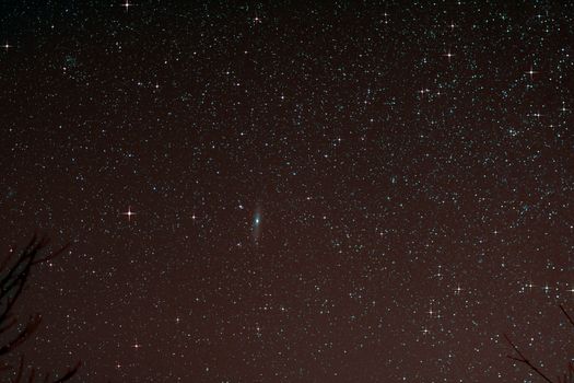Astro Photo: Starfield with Andromeda Galaxy