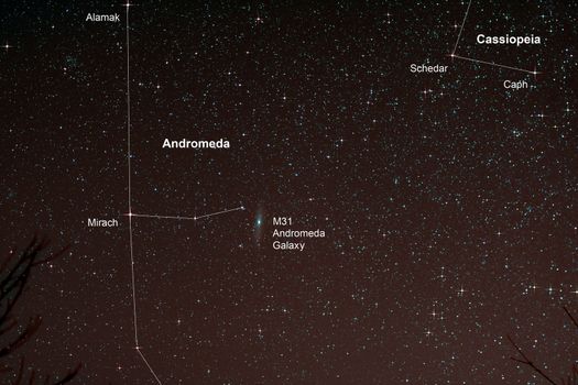 Astro Photo: Starfield with Andromeda Galaxy
