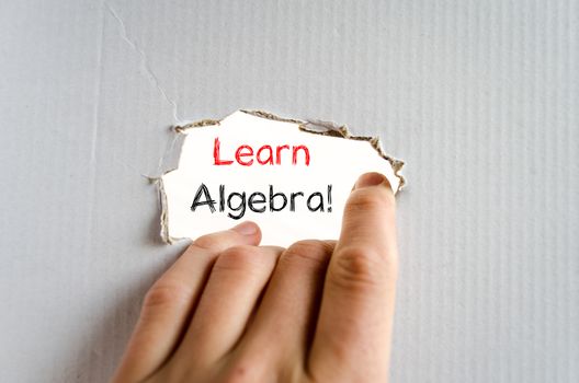 Learn algebra text concept isolated over white background