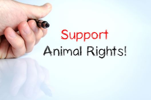 Support animal rights text concept isolated over white background