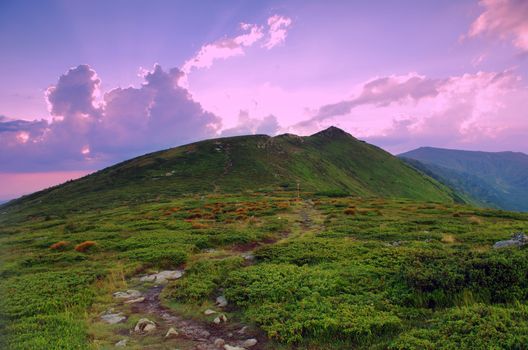 evening mountain plateau landscape (Carpathian, Ukraine)