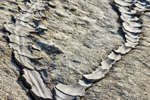 Texture of dried river mud in Berca Buzau Romania