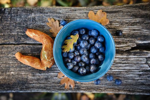 Romantic autumn still life with blackthorn berries in blue bowl and bagel on wooden board