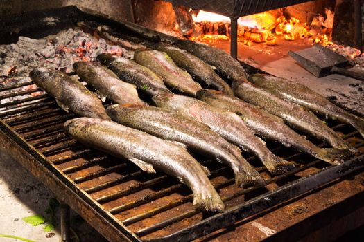 Trouts ready to be cooked on the grill.