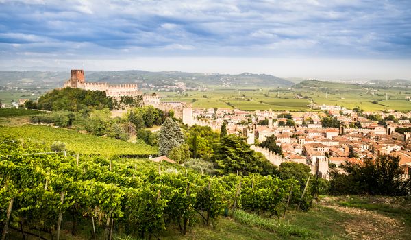 view of Soave (Italy) surrounded by vineyards that produce one of the most appreciated Italian white wines, and its famous medieval castle.