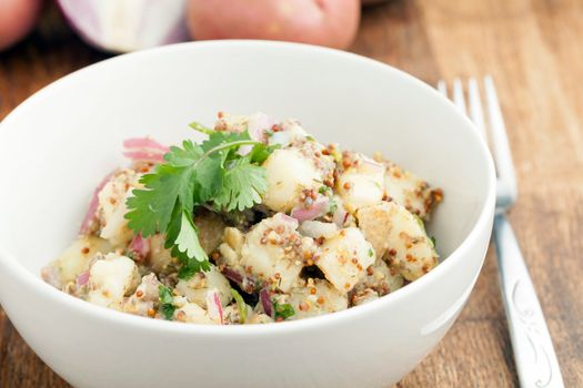 Potato salad freshly homemade without mayonaise.  Ingredients include cilantro olive oil vinegar whole grain dijon mustard red onions and potatoes. 