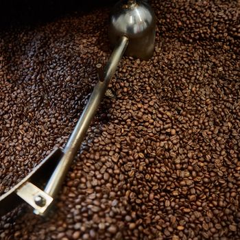 Freshly roasted coffee beans in a coffee roaster. Shallow dof