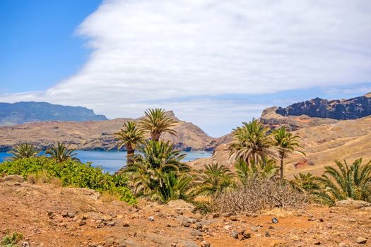 Mountainous landscape with palms - peninsula Ponta de Sao Lourenco - east of Madeira.