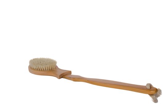 Scrub brush back on the white background.