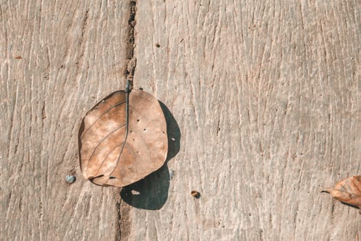 Background texture with old wooden table and yellow autumnal leaves, nature background