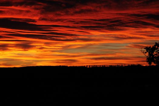 Orange sky