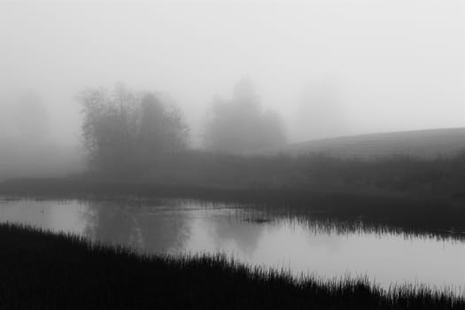 Morning fog over still water