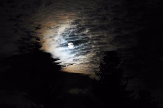 Spooky autumn moon