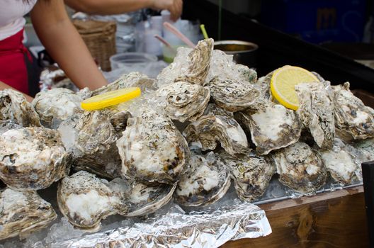 Traditional fish market stall full of fresh shell oysters