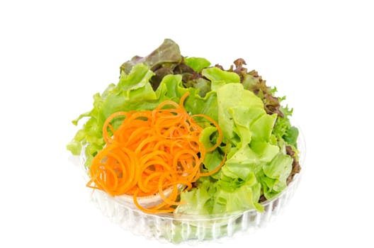 vegetables
salad on the white background.