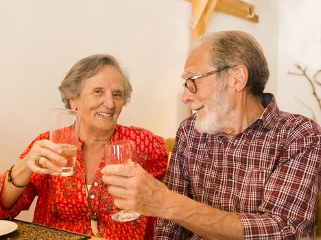 Old couple toasting and looking happy at a restaurant