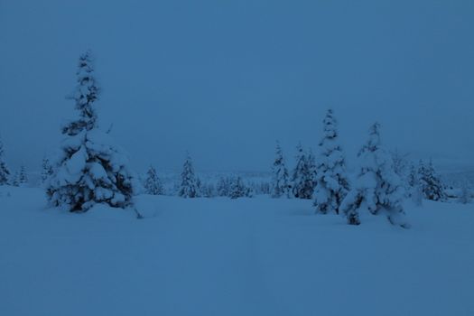 Winter in blue hour