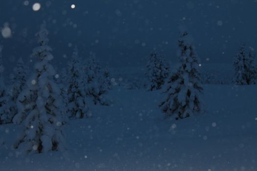 blue light, snowing
