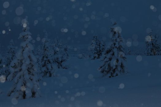 evening Picture, snow in the blue hour