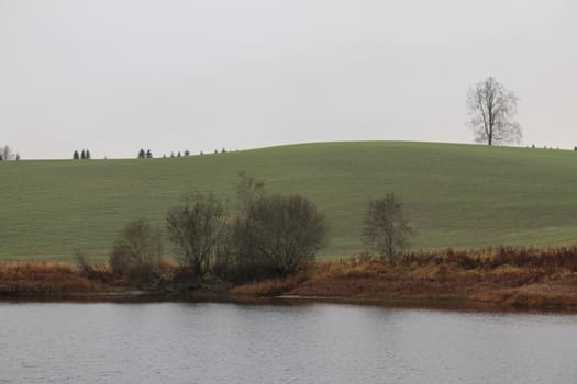 Water and trees, green hill in fall