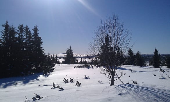 Cold sunny day in Norway, in the mountains