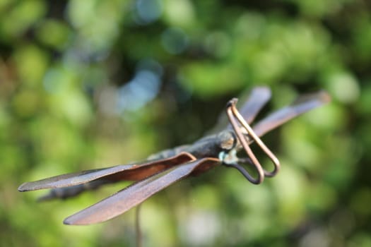 brass dragonfly, in garden