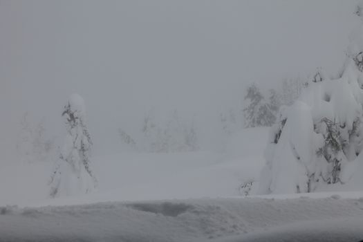 Winter landscape in Norway