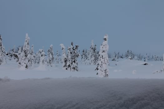 Winter landscape in blue light
