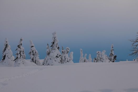Winter landscape in blue light