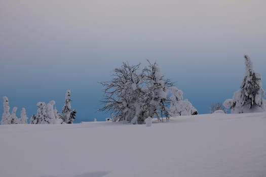 Winter landscape from Norway