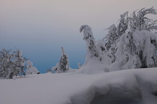 Winter art from Norway