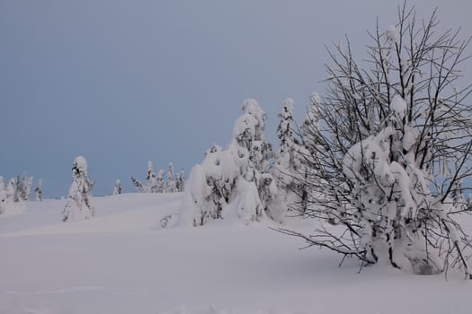 Cold winterday in Norway