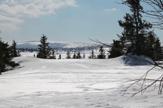 Sunny Winter day in the mountains