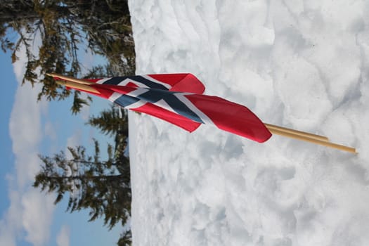 Norwegian flag in the snow
