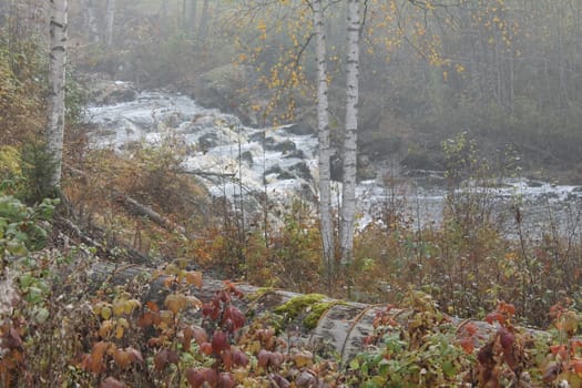 Waterfall in the woods