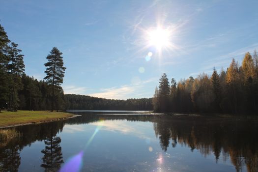 Lake and trees in the sun