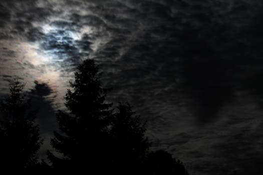Moon and trees