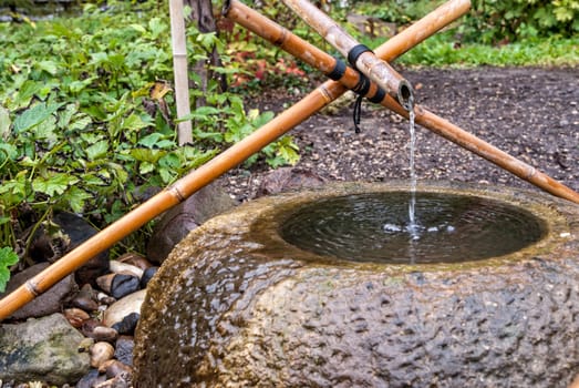 Tsukubai water fountain of bamboo stalks in  Japanese garden 