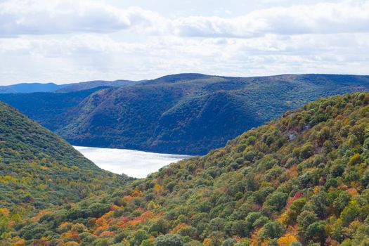 Picture taken during a hike from Breakneck ridge to Cold Spring during the fall season (NY)